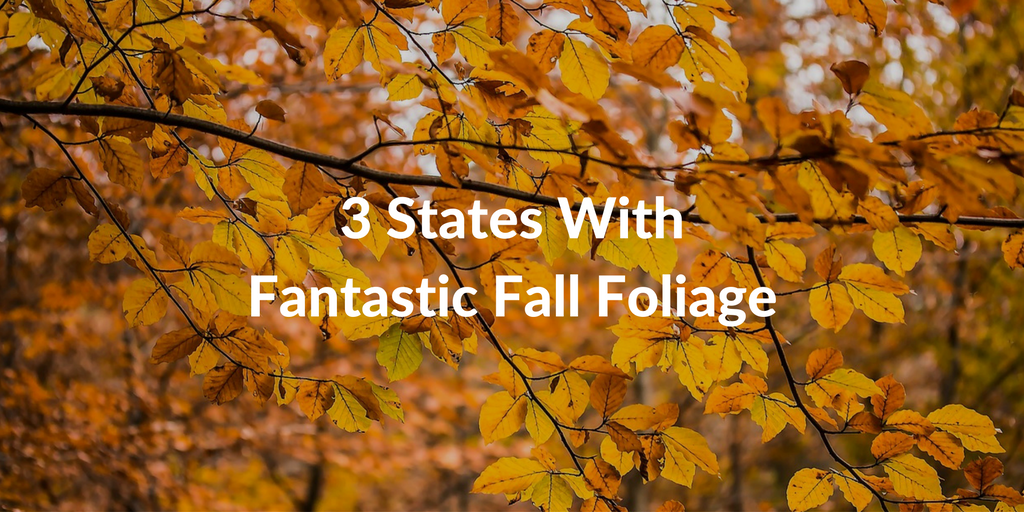 Southeastern Growers: 3 States With Fantastic Fall Foliage